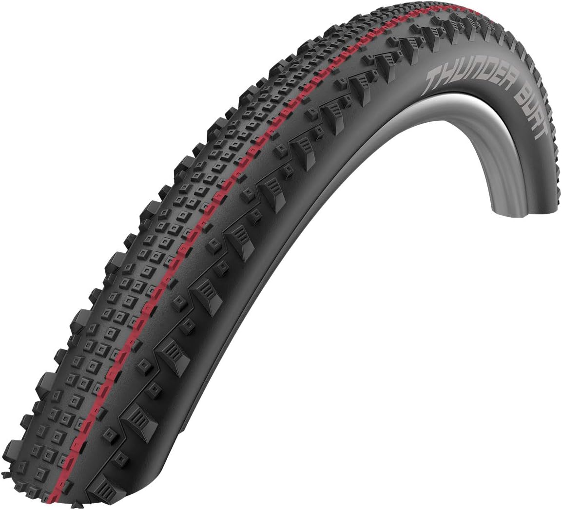 Schwalbe Thunder Burt Addix Speed TL-Easy Rolling tire 29x2.25
