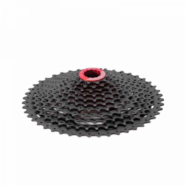 Pan Pignoni Box Two 11S