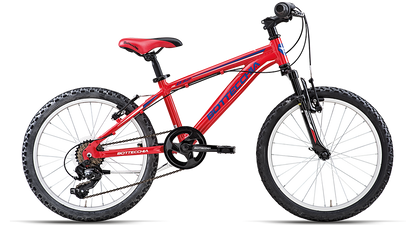 BotteCchia 032 Junior 20 "