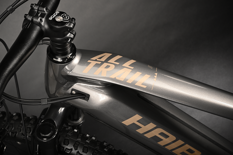 Haibike AllTrail 5 29 "Titan/Caramel