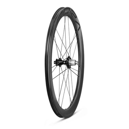 Ruedas Campagnolo Bora X 50 DB