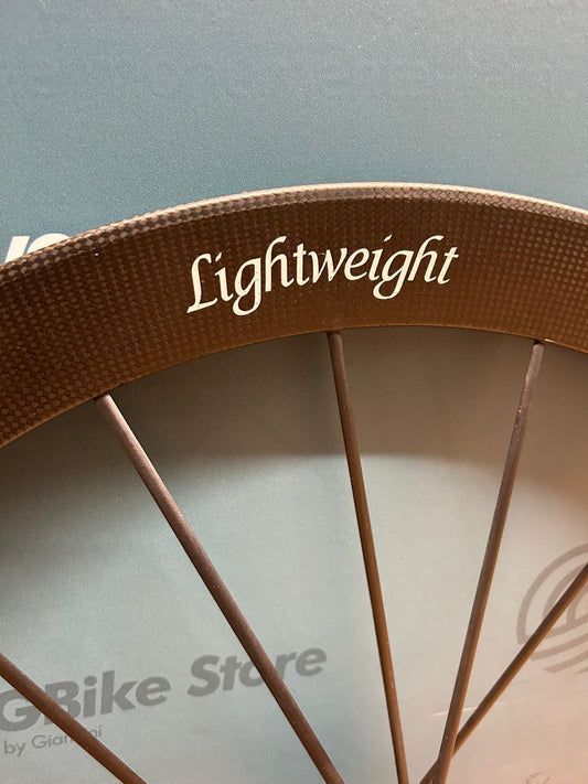 Lightweight Meilenstein EVO Disc - Used