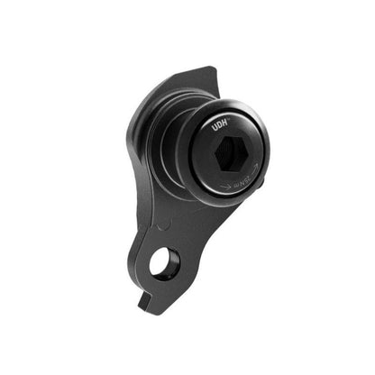 Sram ABP UDH DS 20 abandono